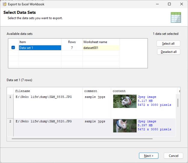 Export database images to Excel | Yohz Software Development Blog