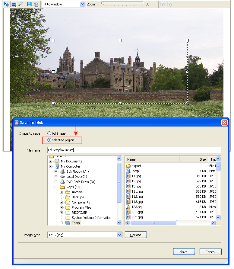SQL Image Viewer online help - Image viewer
