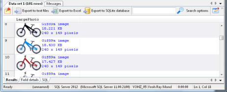 SQL Image Viewer - Viewing Images