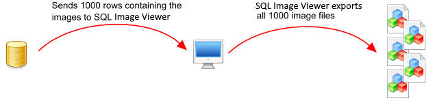 SQL Image Viewer - Exporting Million of Images