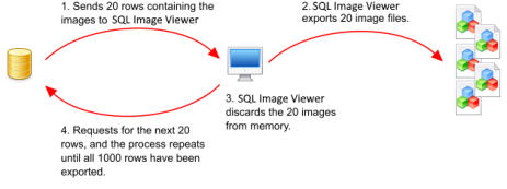 SQL Image Viewer - Exporting Million of Images